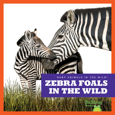 Zebra Foals in the Wild B0BFTMJGQ7 Book Cover