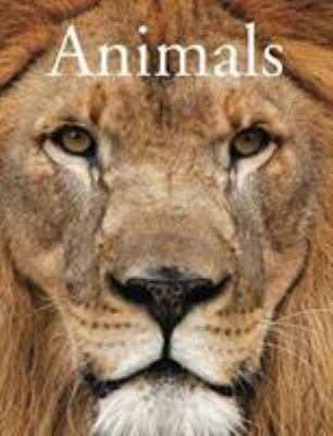 Animals 1782747702 Book Cover