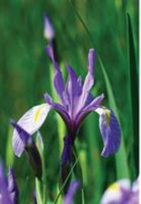 Wild Blue Iris Journal 1364011557 Book Cover