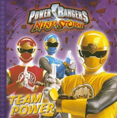 Ninja Storm: Team Power 1403735654 Book Cover