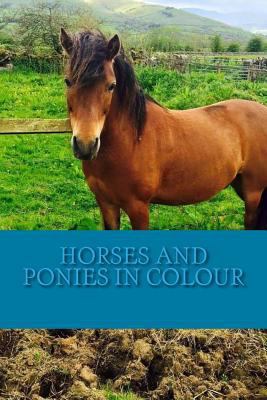 Horses and Ponies in Colour: Full colour photog... 1540303543 Book Cover