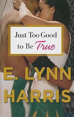 Just Too Good to Be True [Large Print] 1410406415 Book Cover