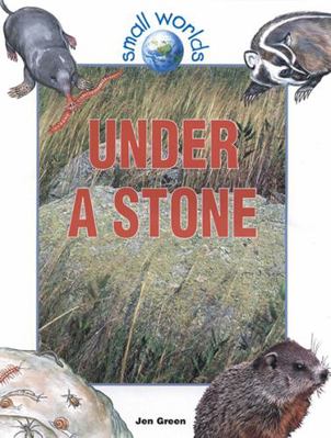 Under a Stone 0778701514 Book Cover