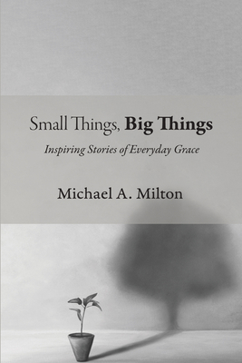 Small Things, Big Things: Inspiring Stories of ...            Book Cover