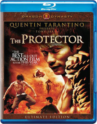 The Protector            Book Cover
