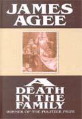 A Death in the Family [Large Print] 1585470066 Book Cover