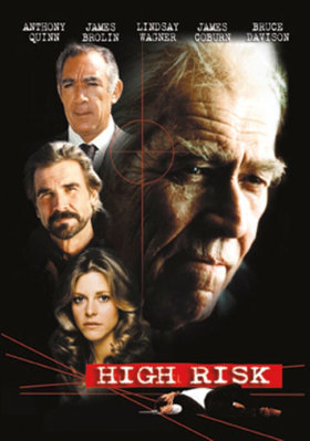 High Risk B00005JA8A Book Cover