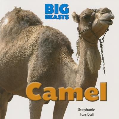 Camel (Big Beasts) 1770922113 Book Cover