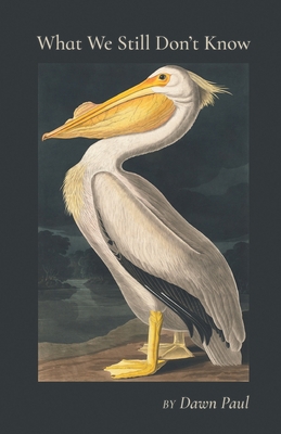 What We Still Don't Know 1646620801 Book Cover