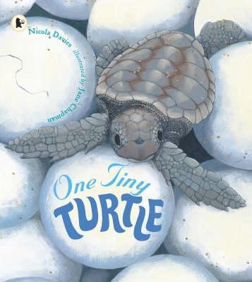 One Tiny Turtle 1406311987 Book Cover