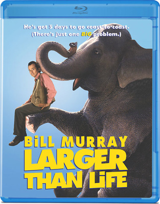 Larger Than Life Book Cover