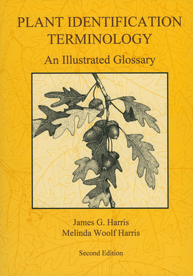 Plant Identification Terminology: An Illustrate... 0964022168 Book Cover