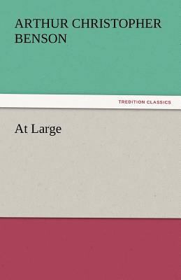 At Large 3842456352 Book Cover
