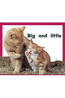 Big and Little, Level 2 B0074FC8HM Book Cover