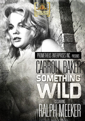 Something Wild            Book Cover