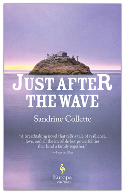 Just After the Wave 1609455673 Book Cover