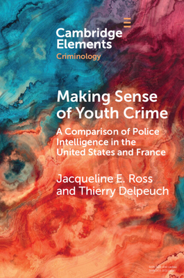 Making Sense of Youth Crime: A Comparison of Po... 1009364286 Book Cover