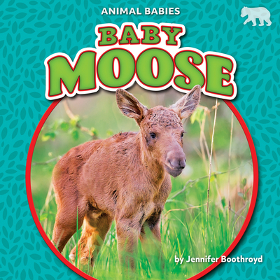Baby Moose 1636913571 Book Cover