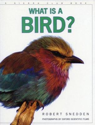 What Is a Bird? 0871569221 Book Cover