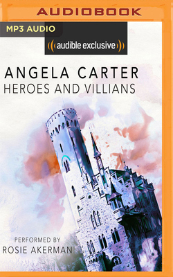 Heroes and Villains 1978624360 Book Cover