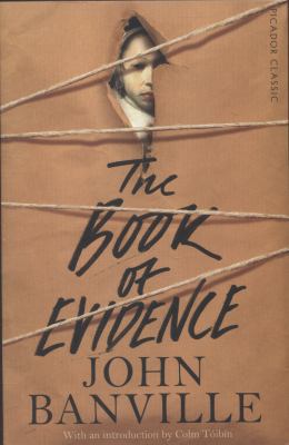 The Book of Evidence 1447275365 Book Cover