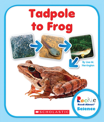 Tadpole to Frog (Rookie Read-About Science: Lif... 053121057X Book Cover