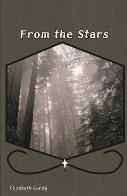 From the Stars B0F6K5MZMY Book Cover