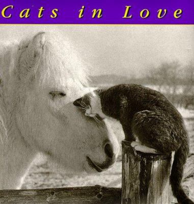 Cats in Love 0941807029 Book Cover