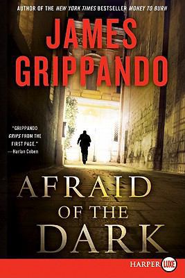 Afraid of the Dark: A Novel of Suspense [Large Print] 0062017977 Book Cover