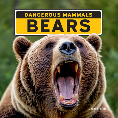 Bears 1684502594 Book Cover