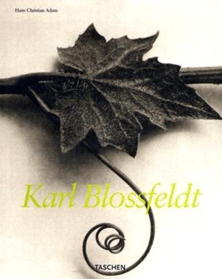 Karl Blossfeldt, 1865-1932 [German] 3822834815 Book Cover
