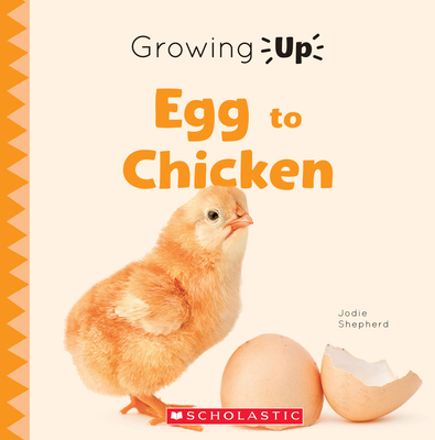 Egg to Chicken (Growing Up) 0531136957 Book Cover