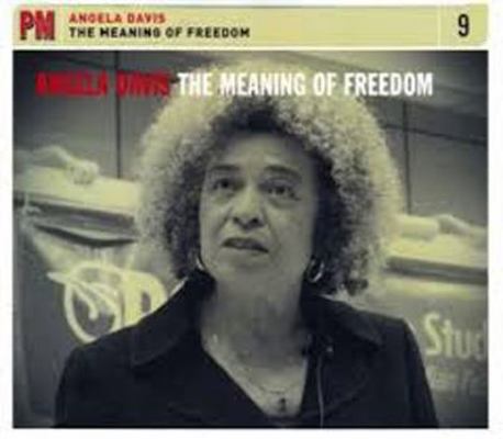 The Meaning of Freedom 1604861029 Book Cover