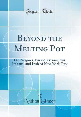 Beyond the Melting Pot: The Negroes, Puerto Ric... 1527979741 Book Cover