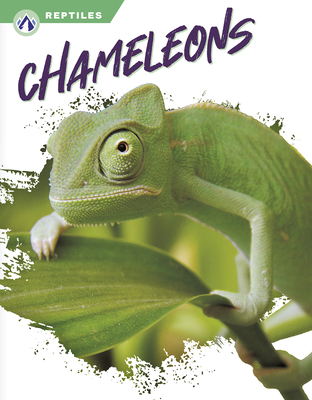 Chameleons 1637385439 Book Cover