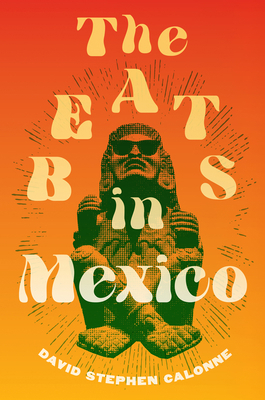 The Beats in Mexico 1978828721 Book Cover