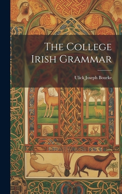 The College Irish Grammar 1019396881 Book Cover