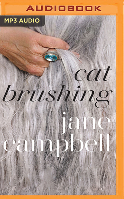 Cat Brushing B0BB5HW4L8 Book Cover