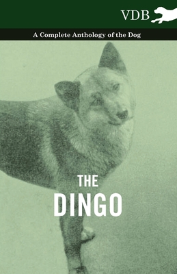 The Dingo - A Complete Anthology of the Dog - 1445527146 Book Cover