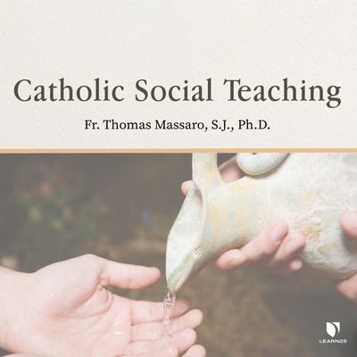 Catholic Social Teaching 1666533548 Book Cover