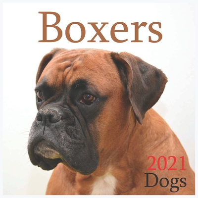 Boxers: 2021 Wall & Office Calendar, 12 Month Calendar B08HJ5HK29 Book Cover