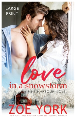 Love in a Snowstorm [Large Print] 1989703496 Book Cover
