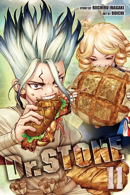 Dr. Stone, Vol. 11 1974714799 Book Cover