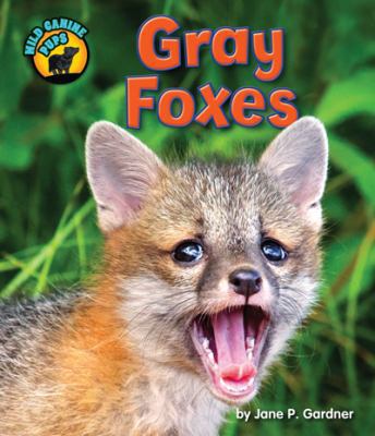 Gray Foxes 1617729310 Book Cover