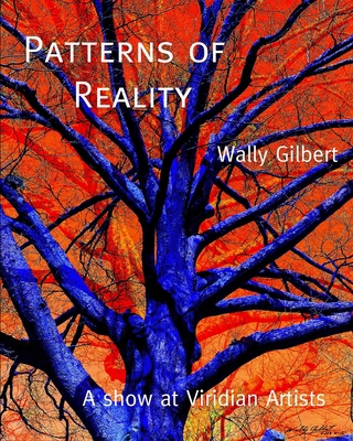 Patterns of Reality B0CJ47XFKZ Book Cover