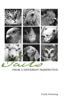 Tails from a Different Perspective 1982233036 Book Cover