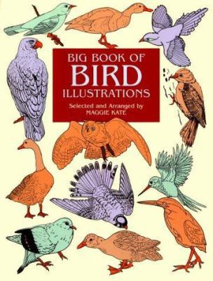 Big Book of Bird Illustrations 0486412253 Book Cover