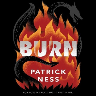 Burn Lib/E 1094167525 Book Cover