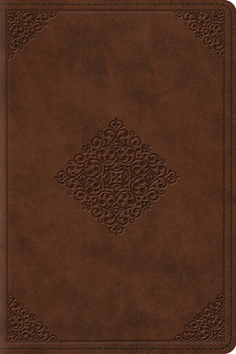 Study Bible-ESV-Personal Size Ornament Design 1433544075 Book Cover