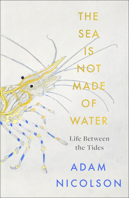 The Sea is Not Made of Water: Life Between the ... 0008294771 Book Cover